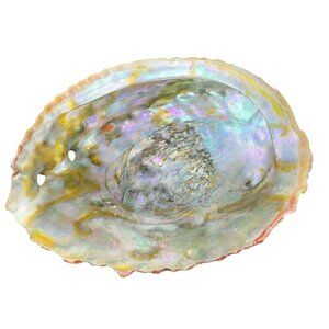 Vintage Abalone Shell Trinket Dish Mother Of Pearl Iridescent Finish Dish Bowl